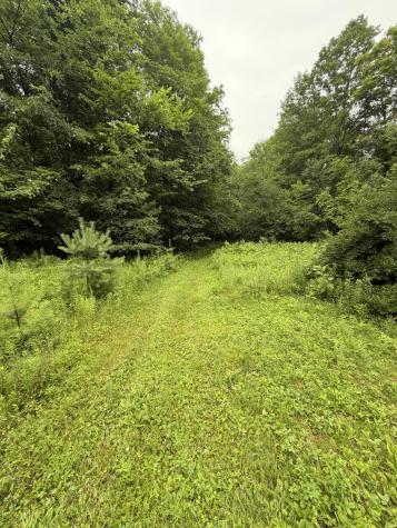 311 Dog Hill Road Keeseville NY 12944