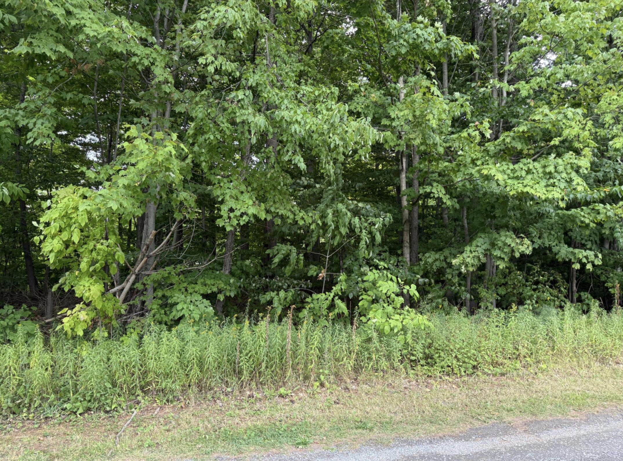 48 Pinewood Drive Altona NY 12910