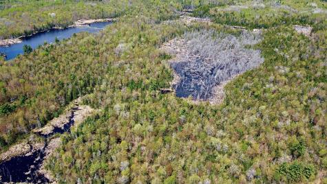 Lot 1 Route 374 Cadyville NY 12918