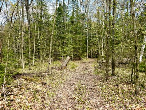Lot 1 Route 374 Cadyville NY 12918