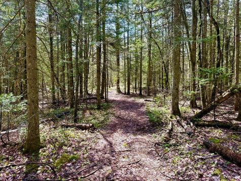 Lot 1 Route 374 Cadyville NY 12918