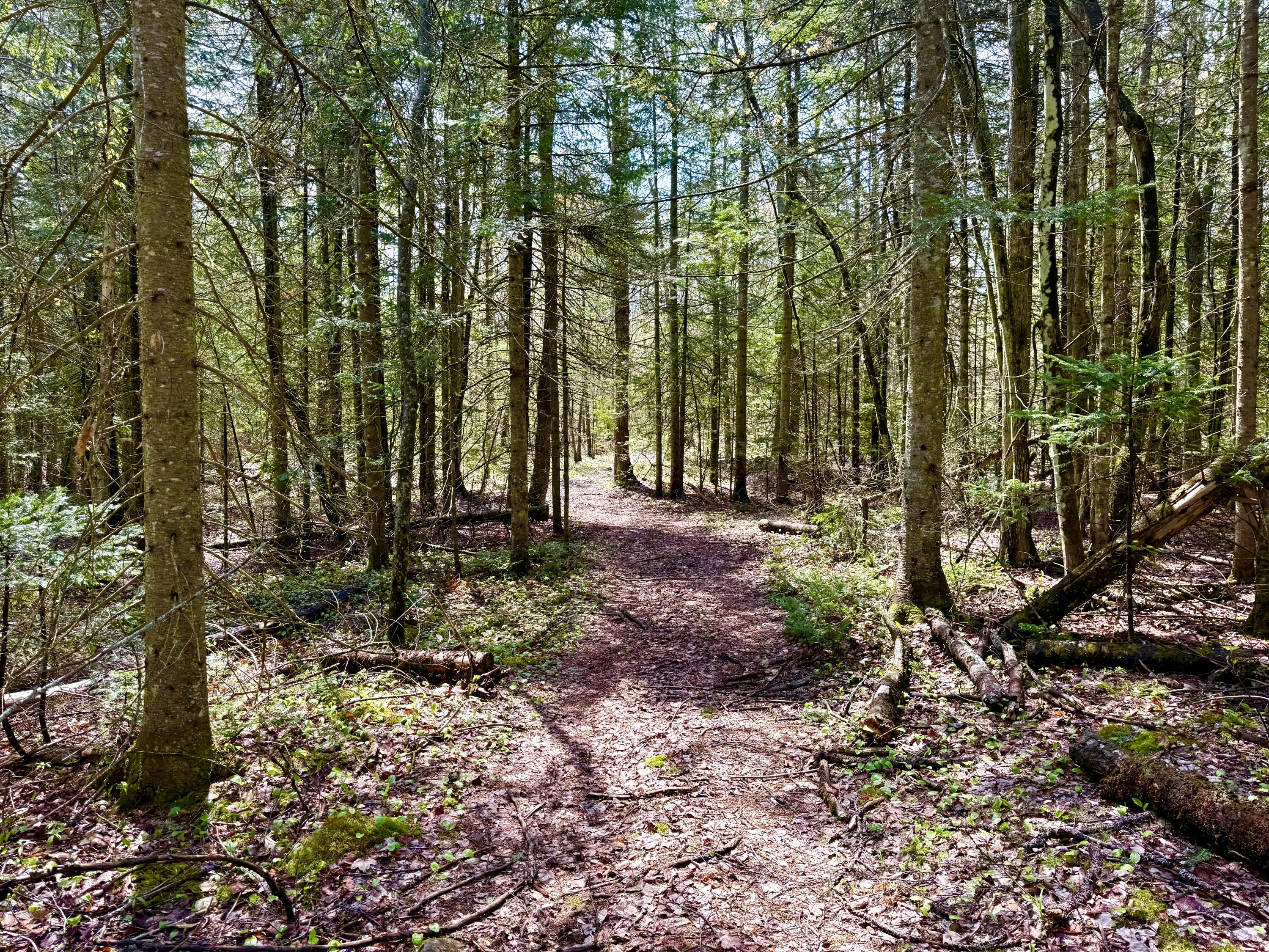 Lot 1 Route 374 Cadyville NY 12918