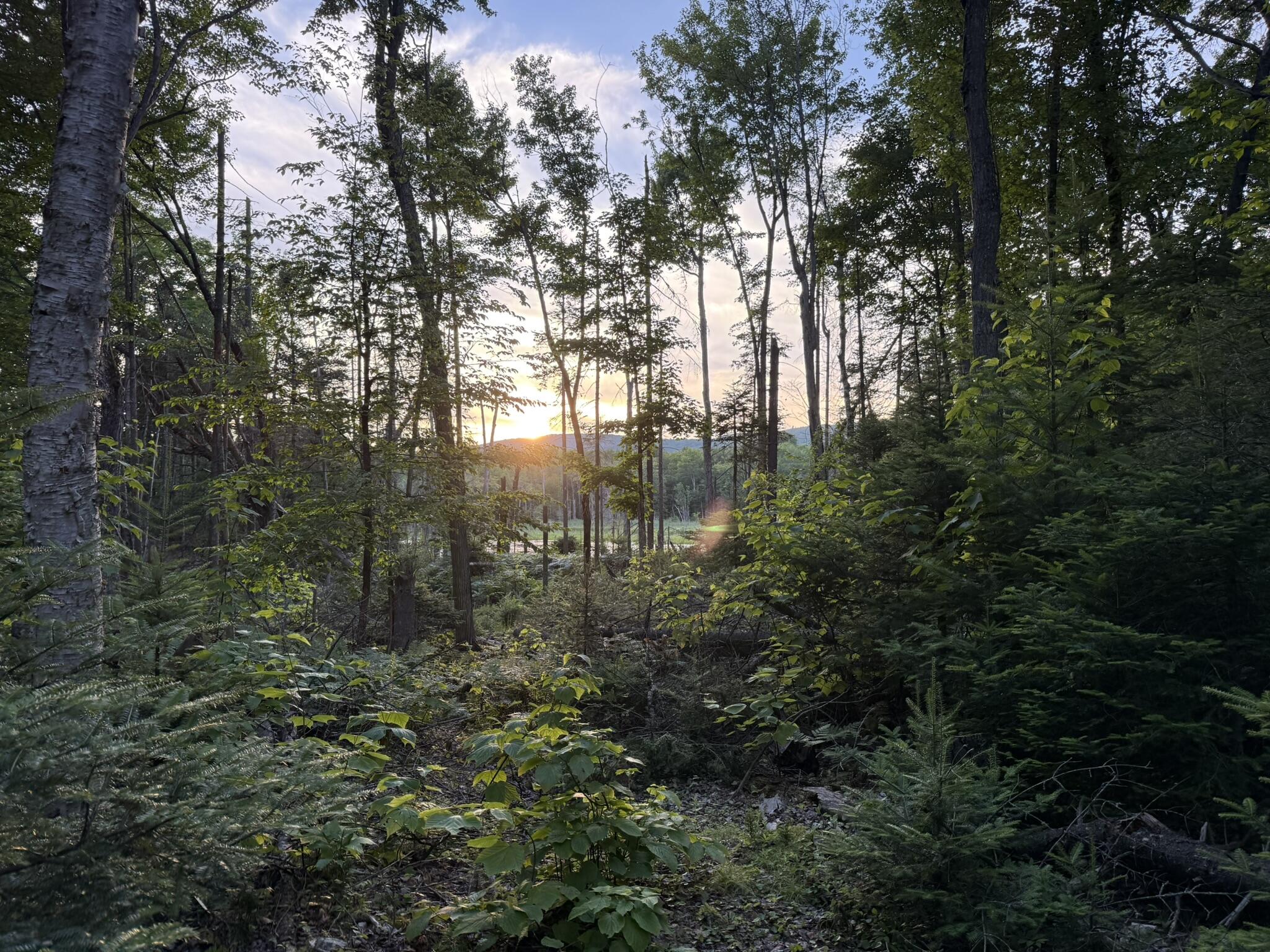 Lot 1 Route 374 Cadyville NY 12918