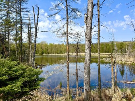 Lot 1 Route 374 Cadyville NY 12918