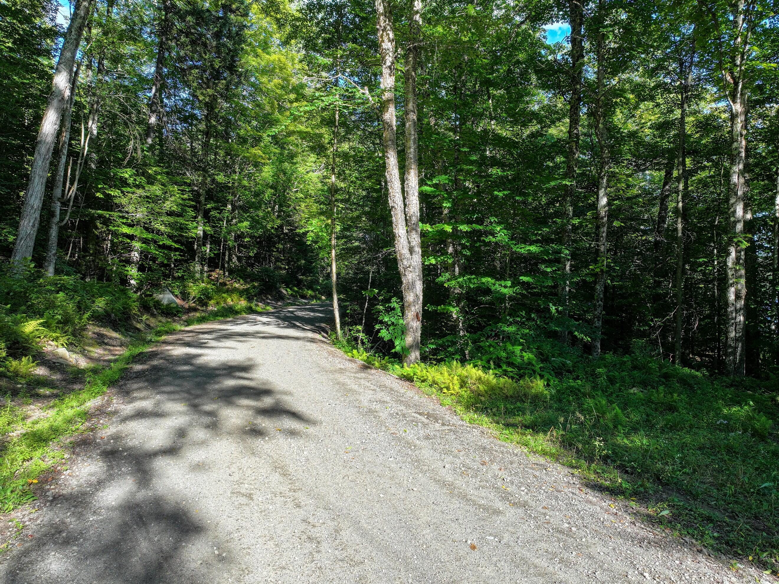 427 Woodys Road Newcomb NY 12852