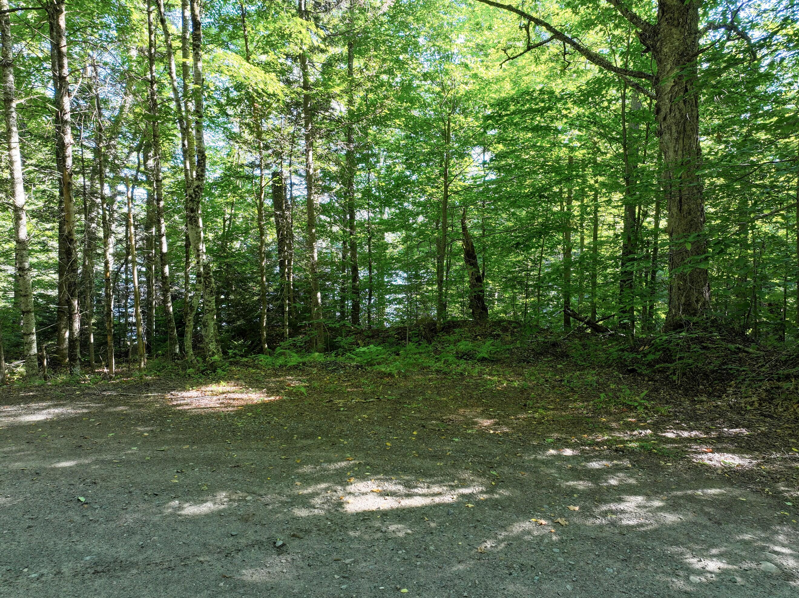 427 Woodys Road Newcomb NY 12852