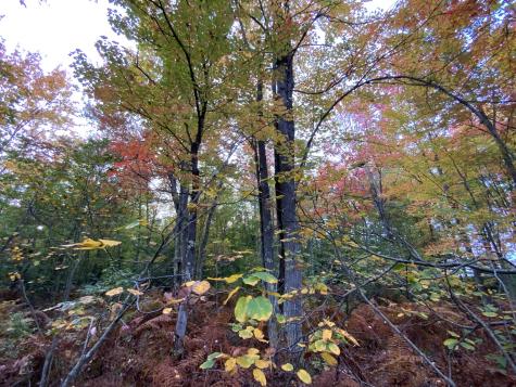 0 Baker Road Bangor NY 12956