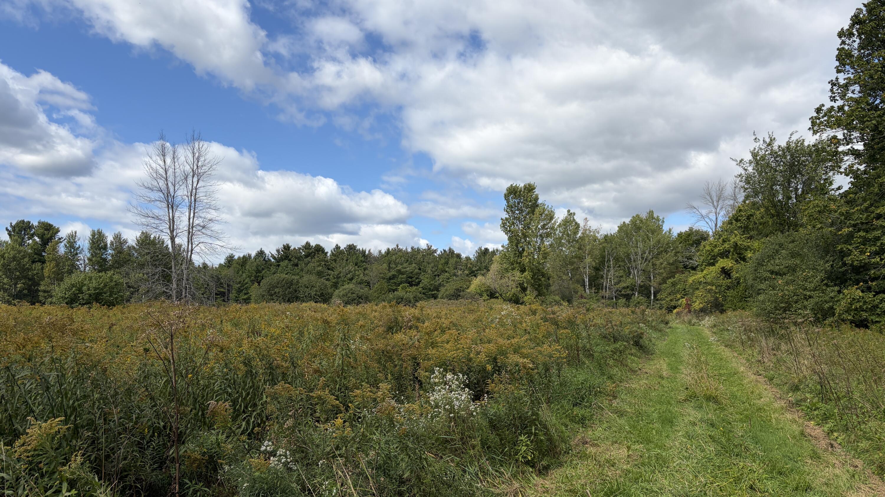 361 North Star Road Mooers NY 12958