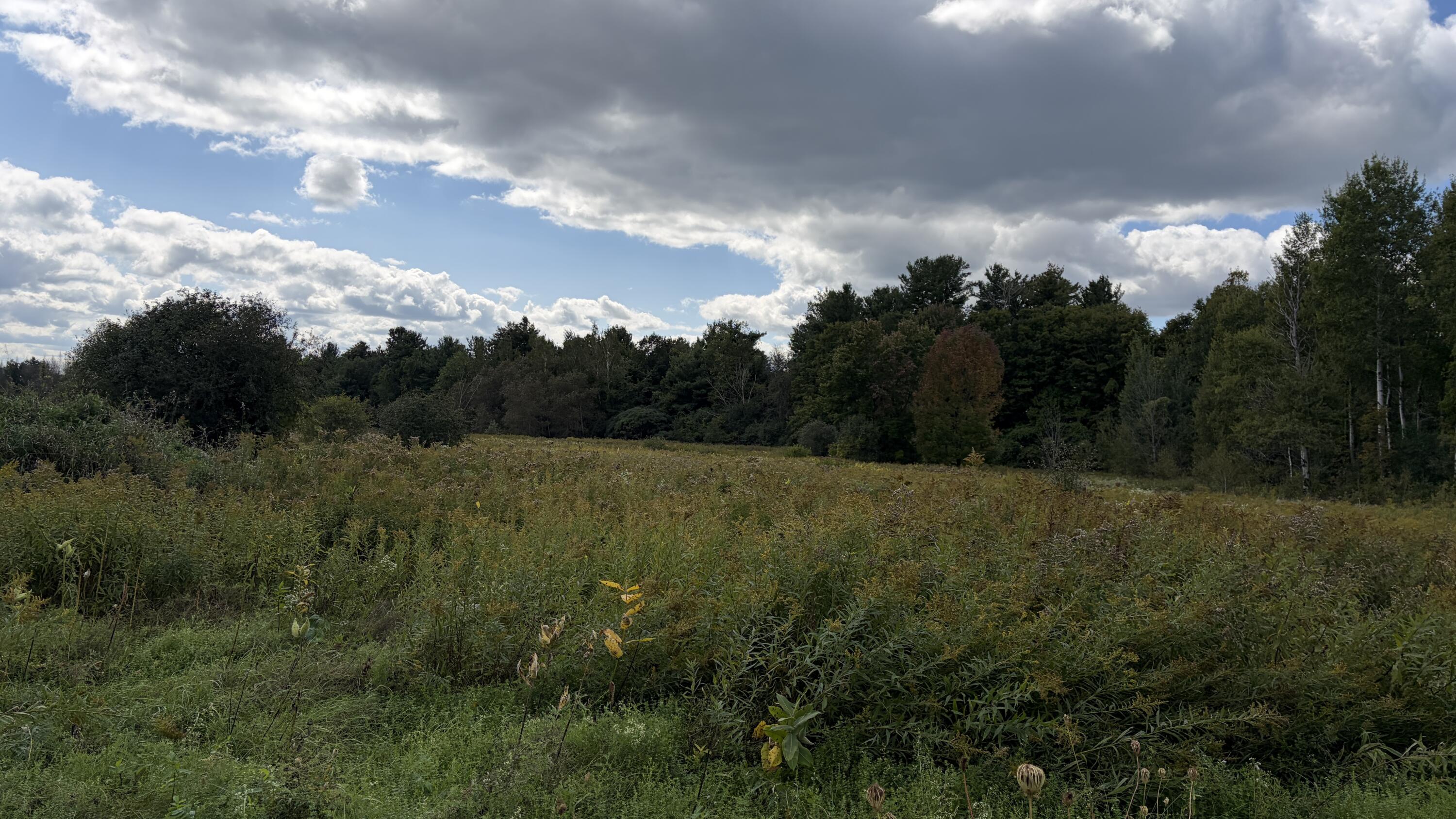 361 North Star Road Mooers NY 12958