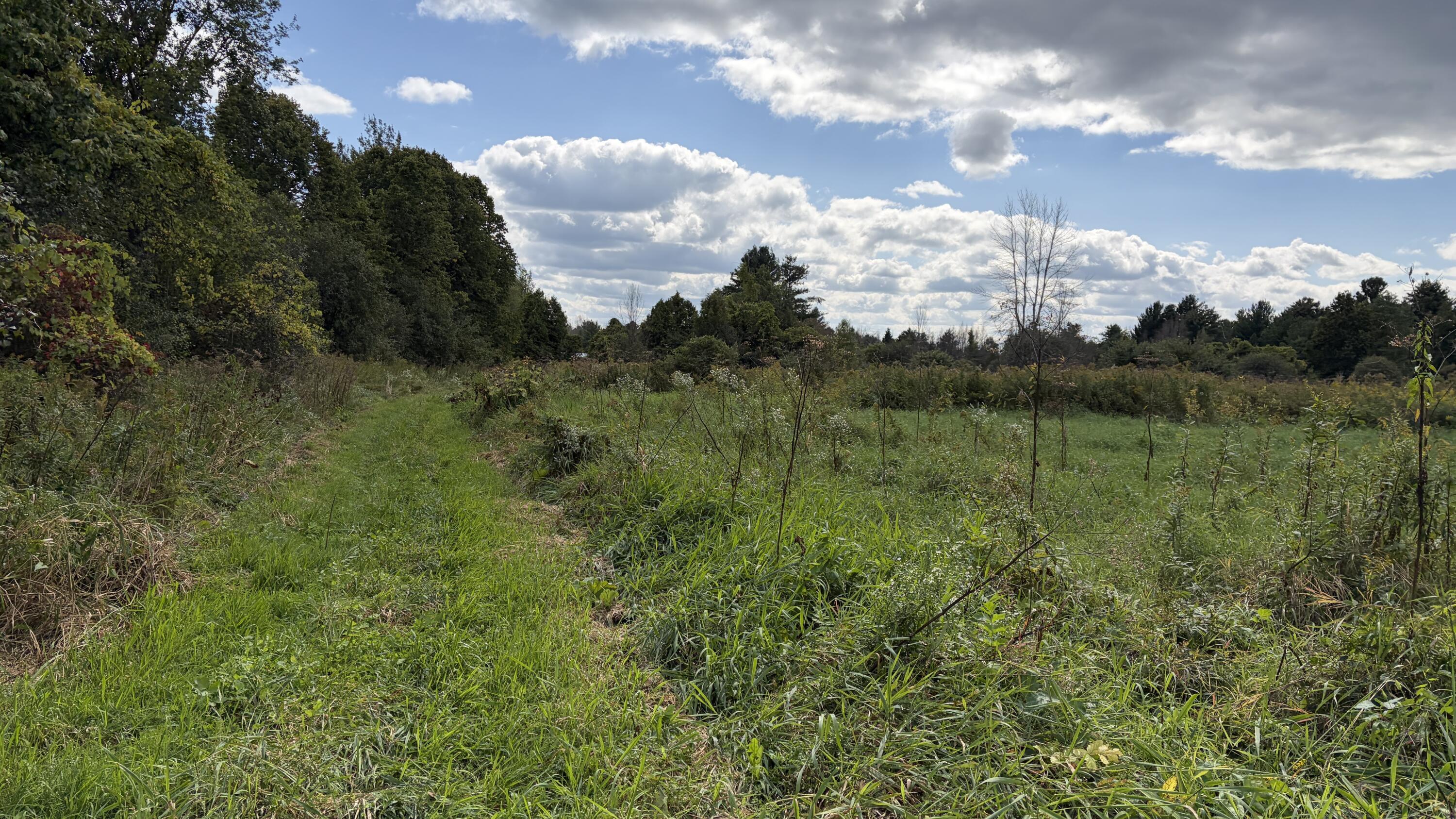 361 North Star Road Mooers NY 12958
