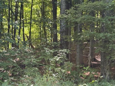 0 Sherman Road Westport NY 12993