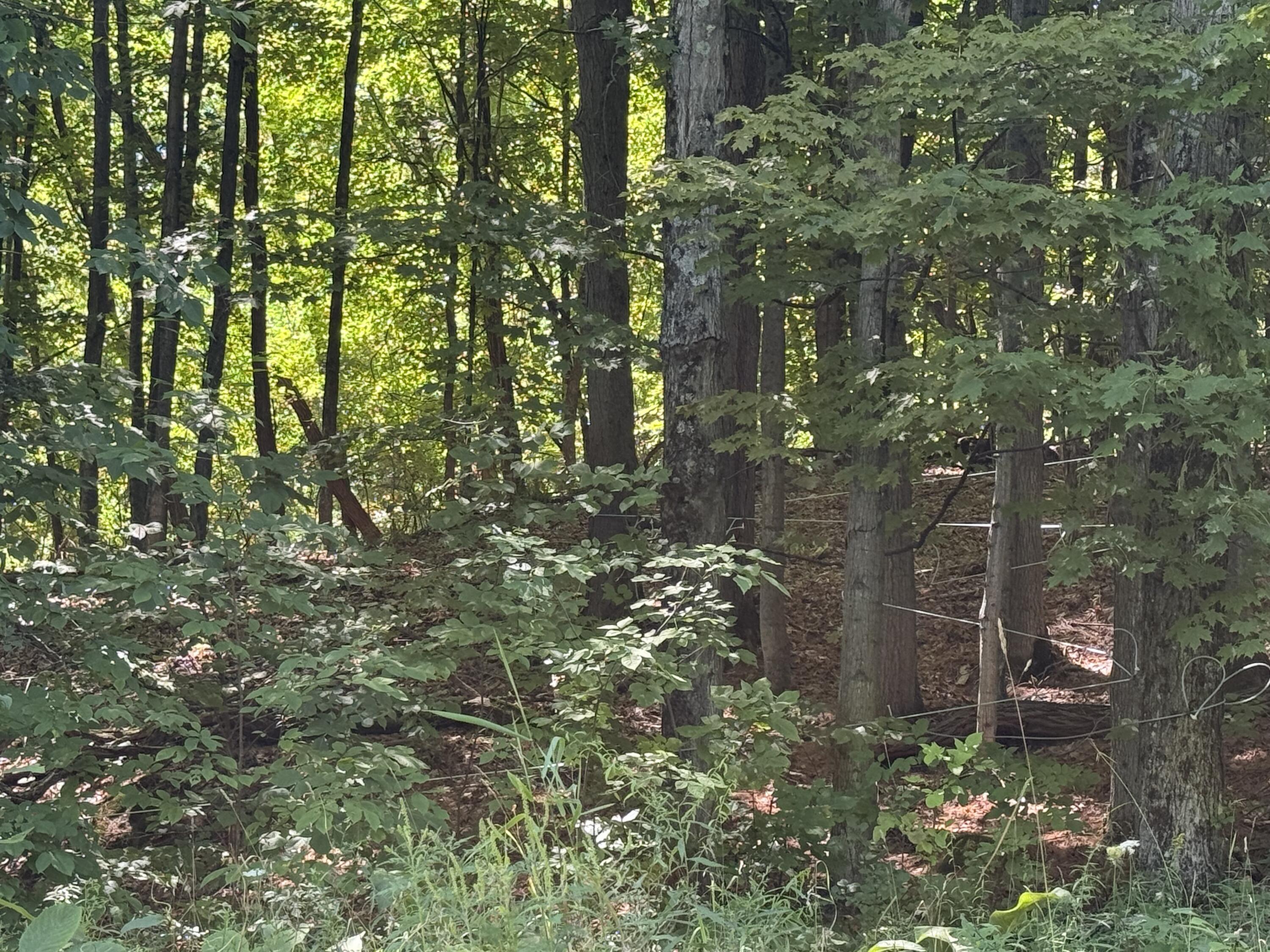 0 Sherman Road Westport NY 12993