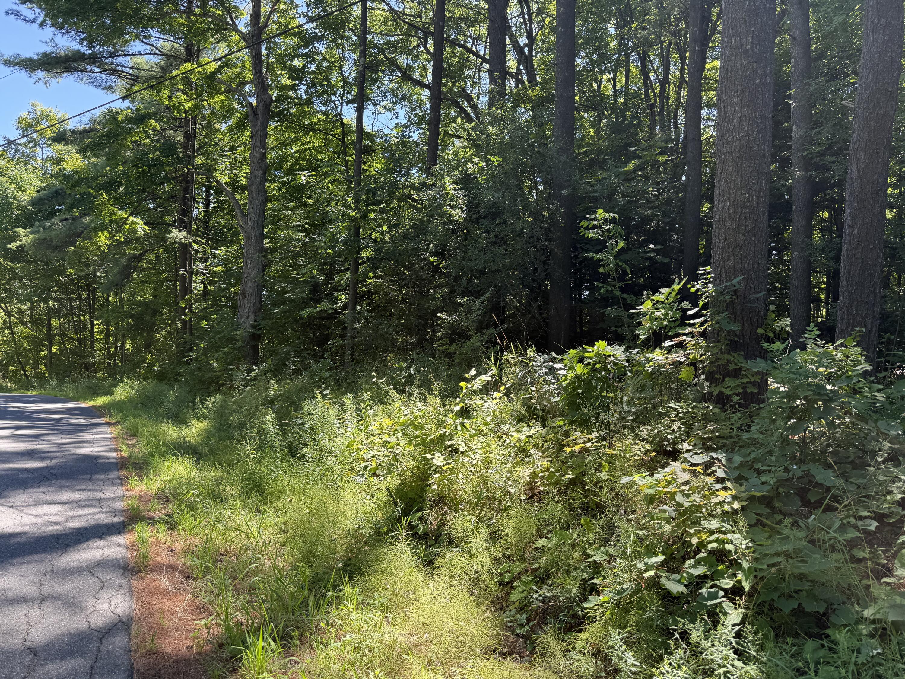 0 Sherman Road Westport NY 12993