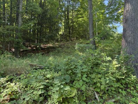 0 Sherman Road Westport NY 12993