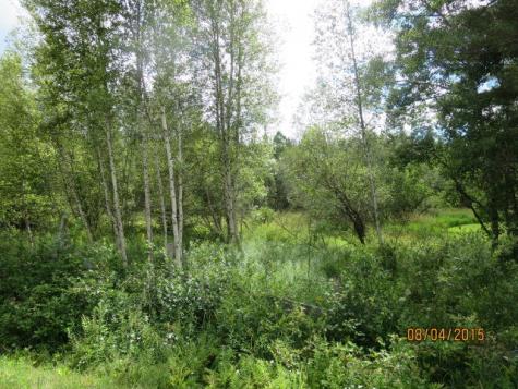 43 Dugal Road Tupper Lake NY 12986