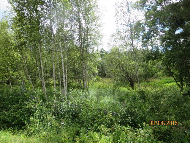 43 Dugal Road Tupper Lake NY 12986