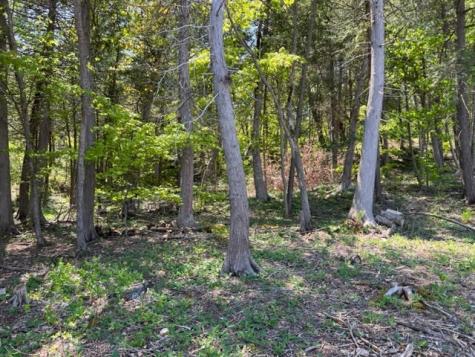 0 Bluff Point Drive Plattsburgh NY 12901