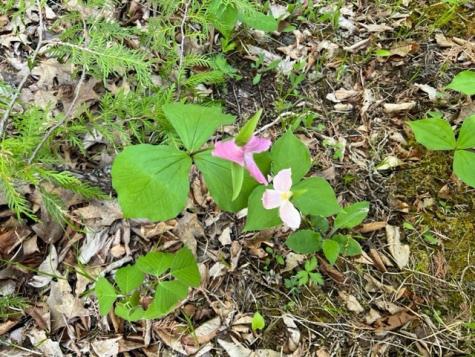 0 Bluff Point Drive Plattsburgh NY 12901