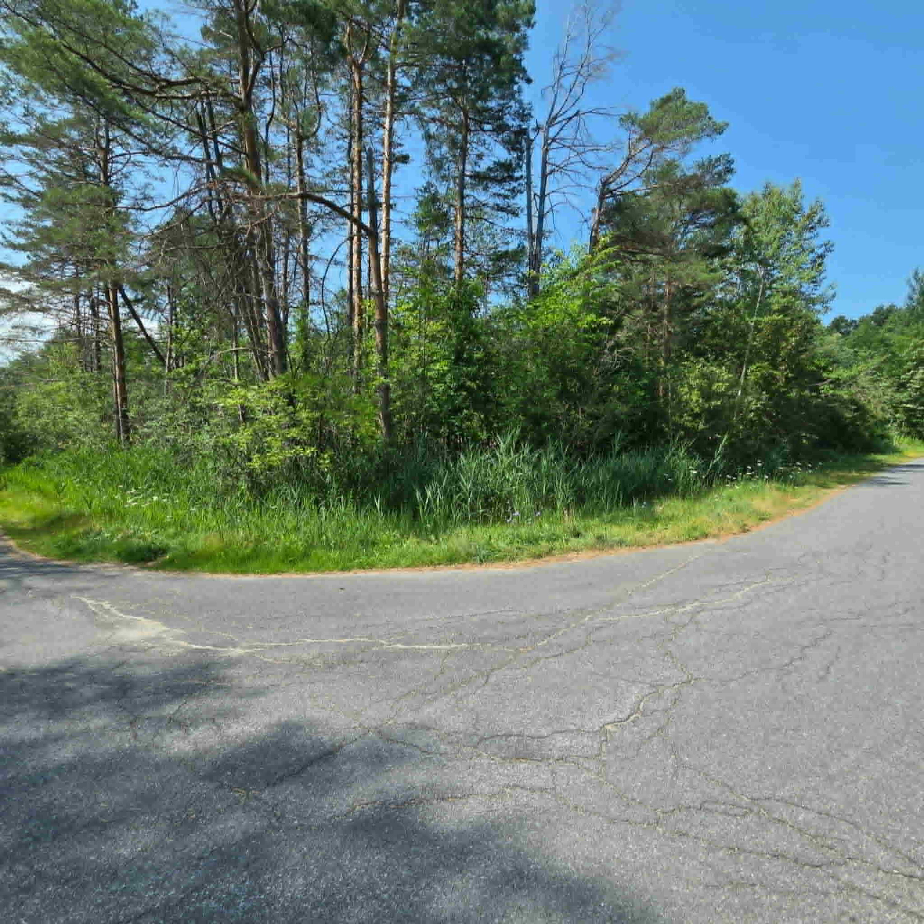 17 Pinewood Drive Peru NY 12972