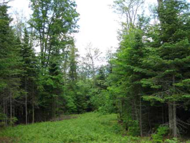55 Ledgerock Lane Lake Placid NY 12946