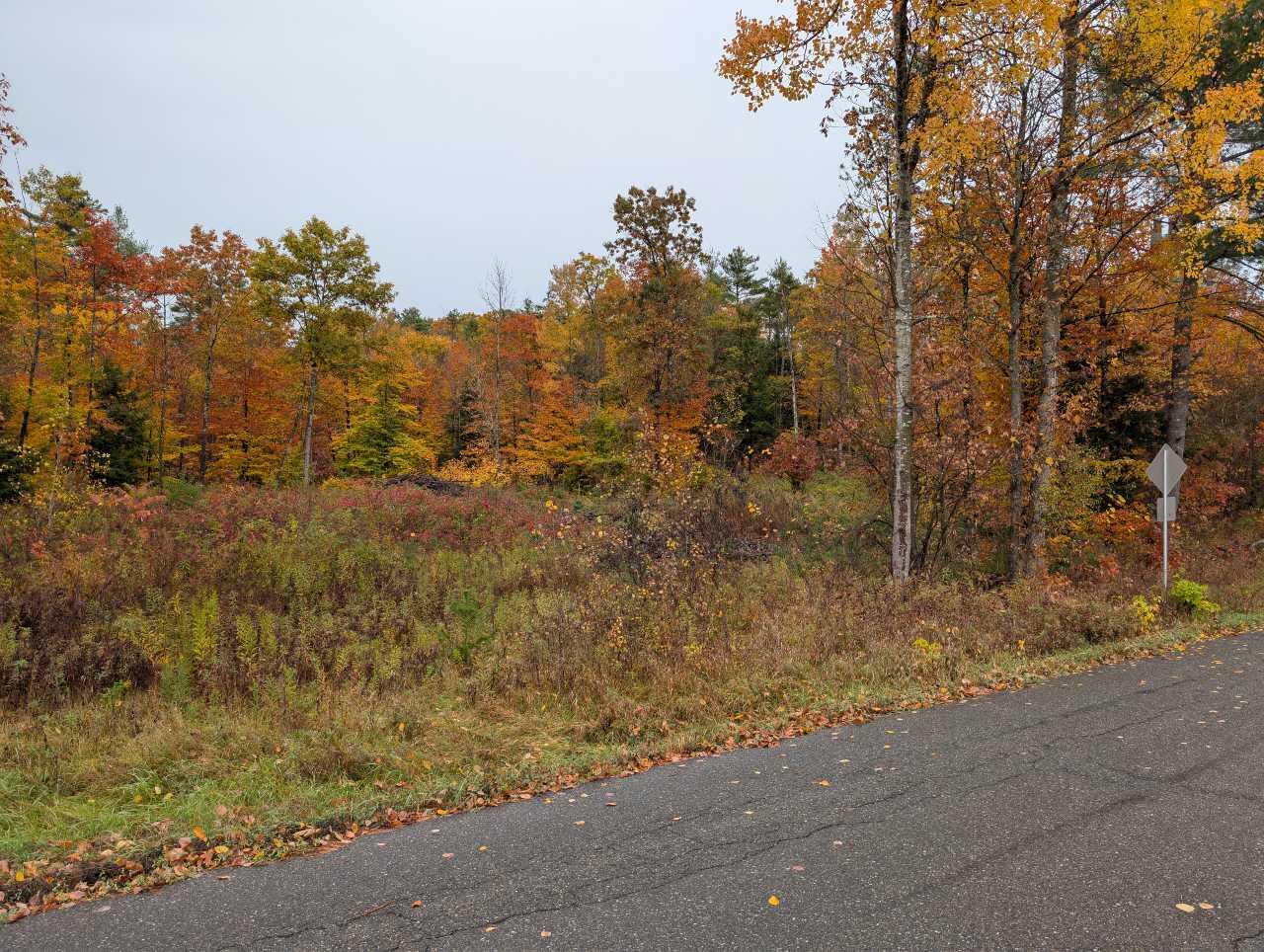 > Goff Road Westport NY 12993