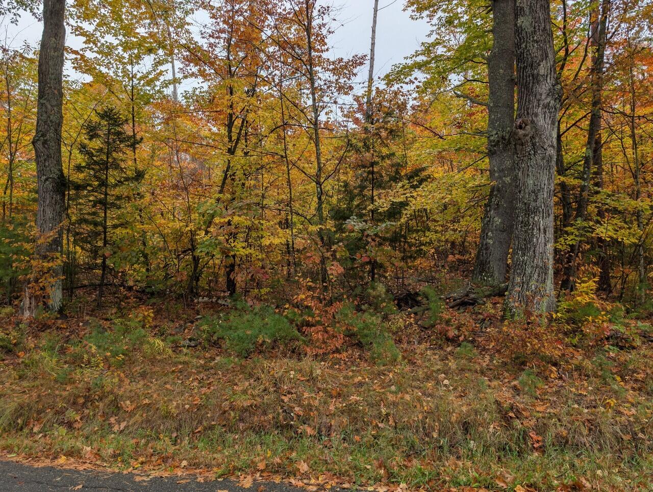 > Goff Road Westport NY 12993