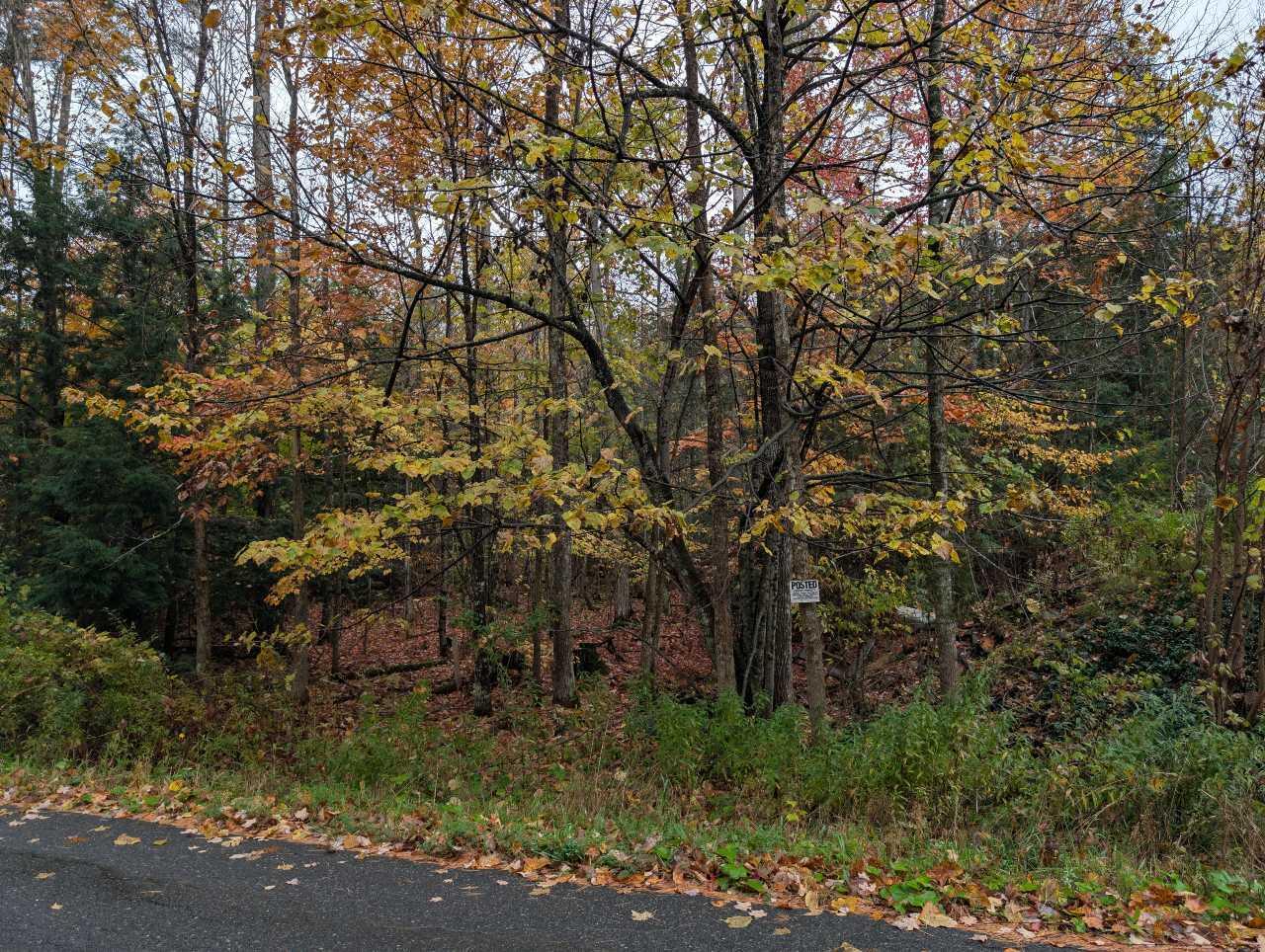 > Goff Road Westport NY 12993