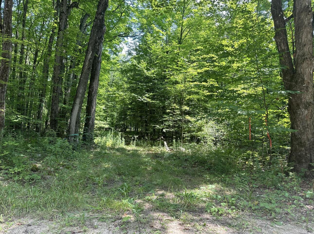 0 Drown Mooers NY 12958
