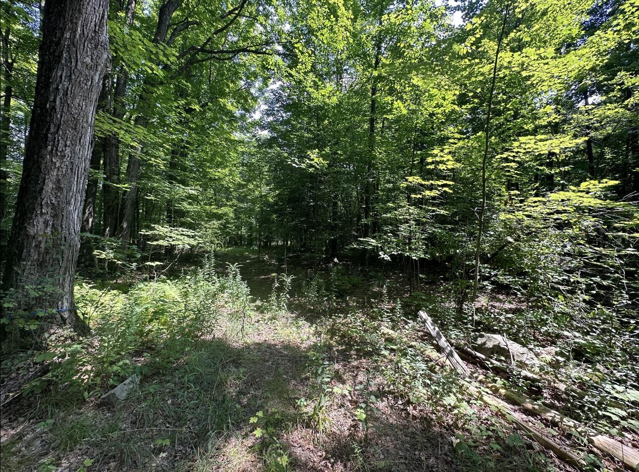 0 Drown Mooers NY 12958
