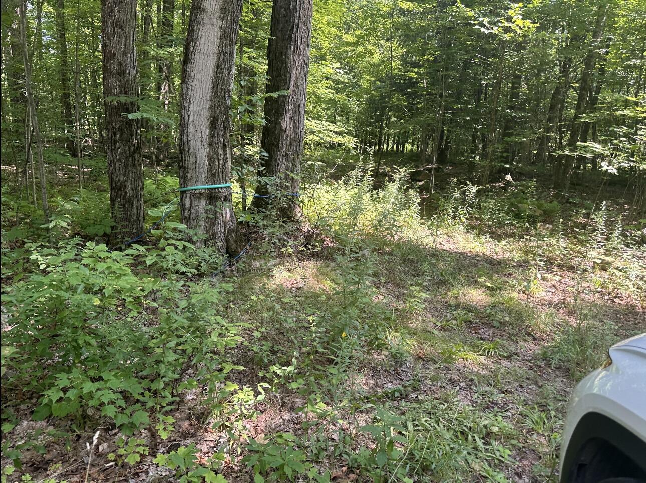 0 Drown Mooers NY 12958