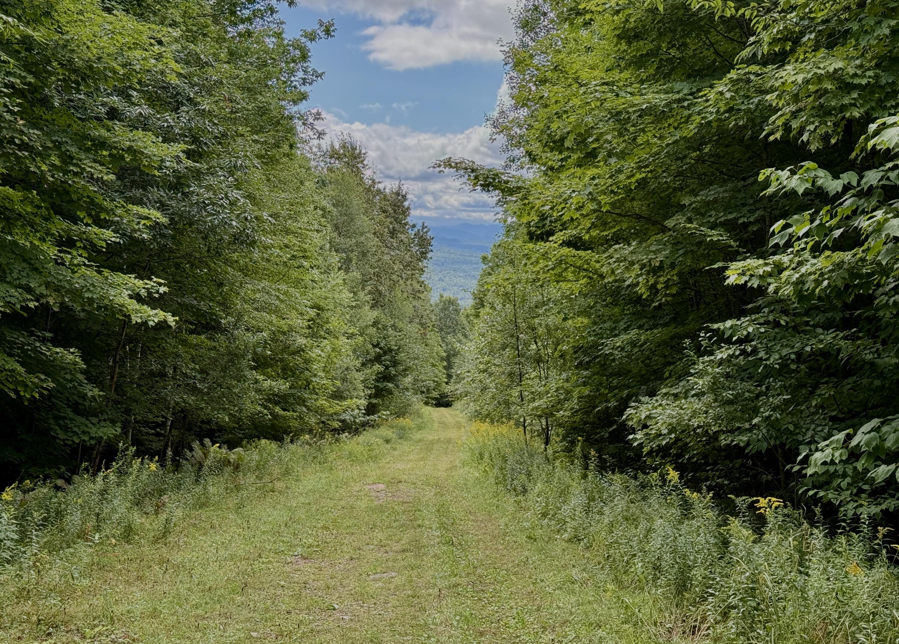 0 Dann Road Saranac NY 12981