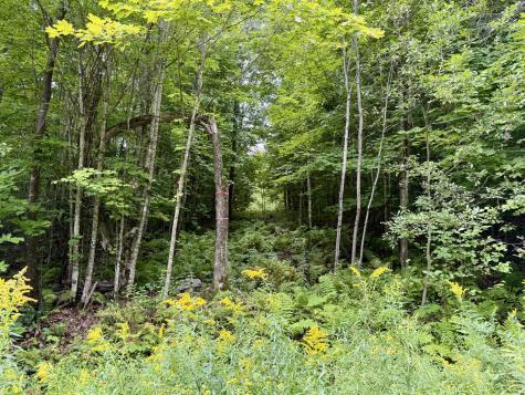 0 Dann Road Saranac NY 12981