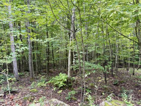 0 Dann Road Saranac NY 12981