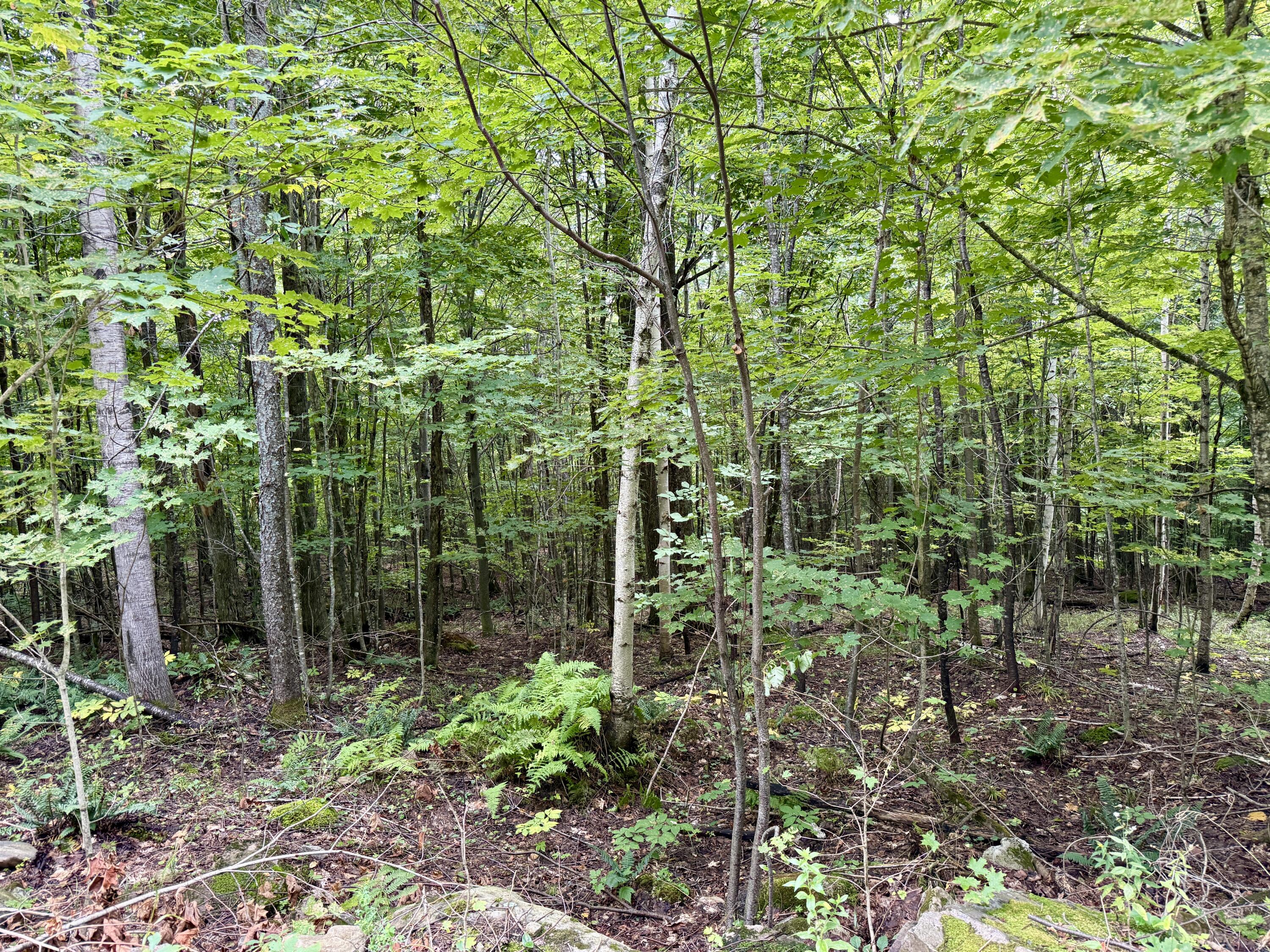 0 Dann Road Saranac NY 12981