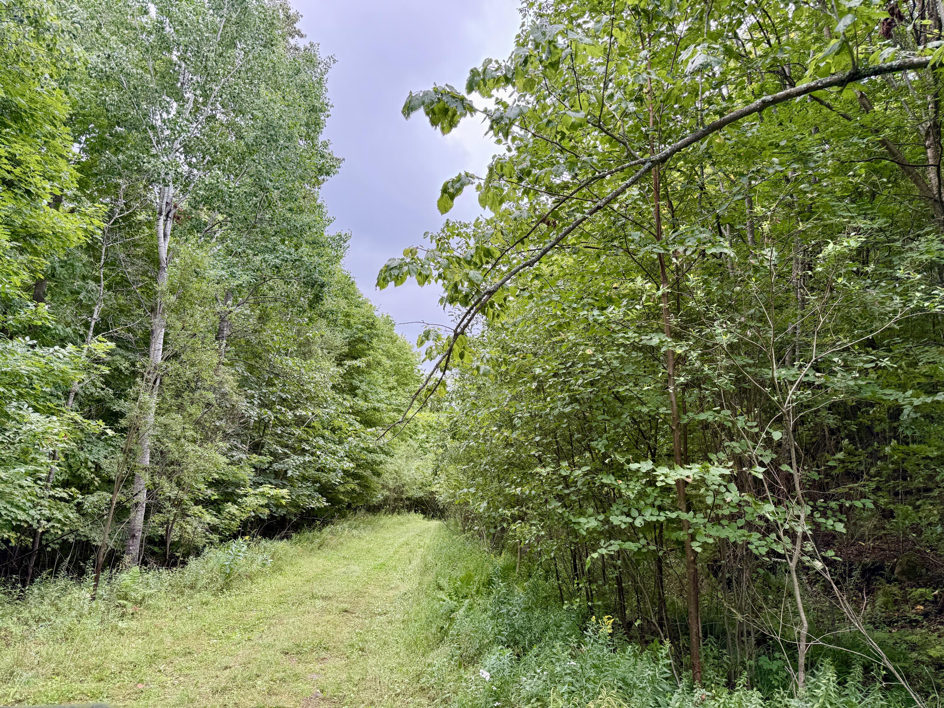 0 Dann Road Saranac NY 12981
