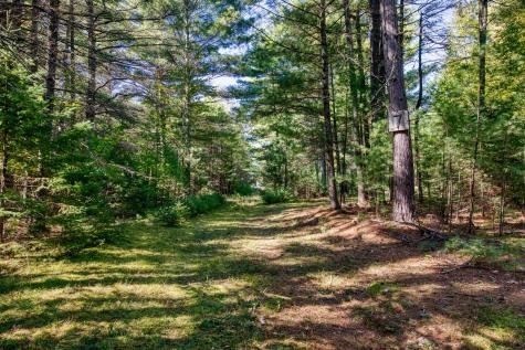 7 Winding Pine Way Wilmington NY 12997