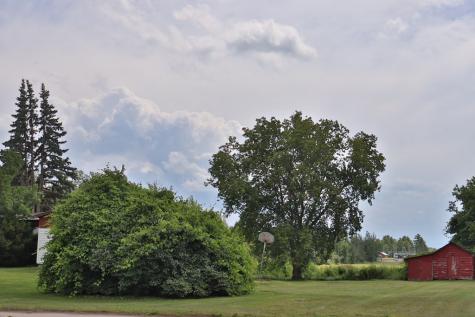 2172 Route 22b Plattsburgh NY 12901