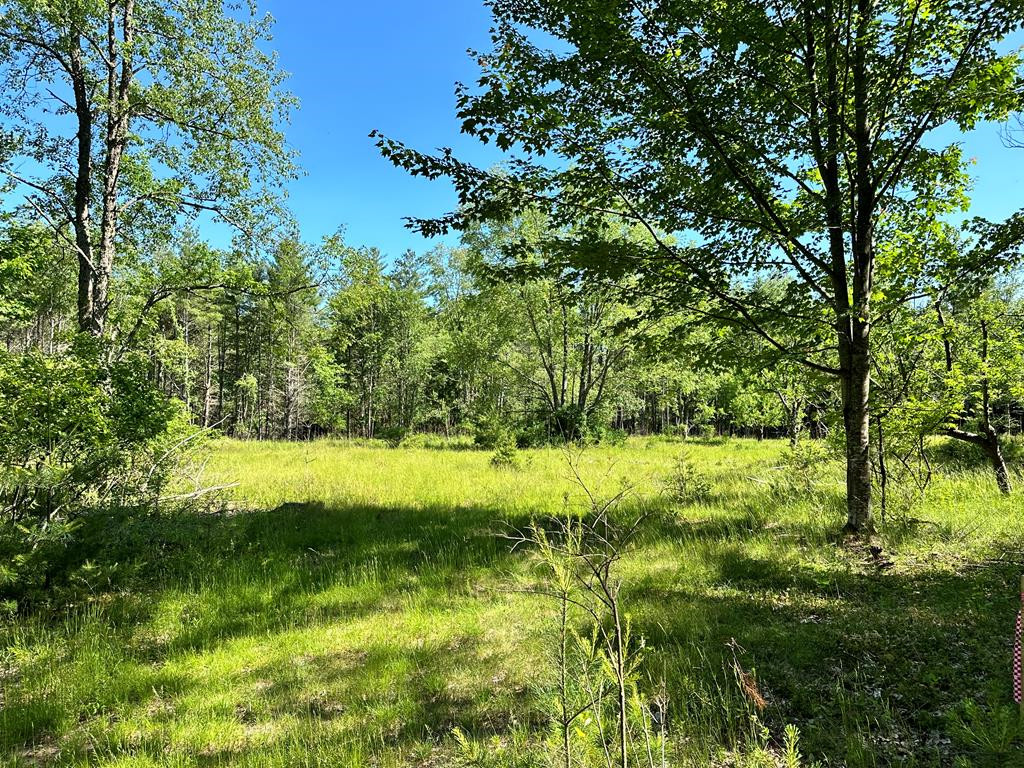 0 Mellow Way (Lot #7) Wilmington NY 12997