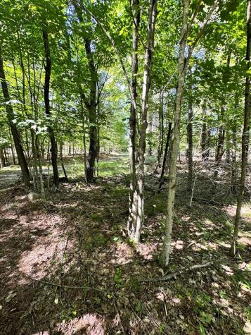 0 Mellow Way (Lot #7) Wilmington NY 12997