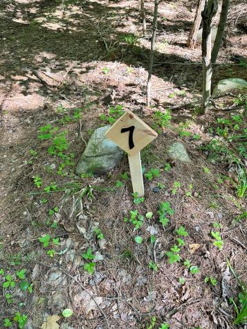 0 Mellow Way (Lot #7) Wilmington NY 12997