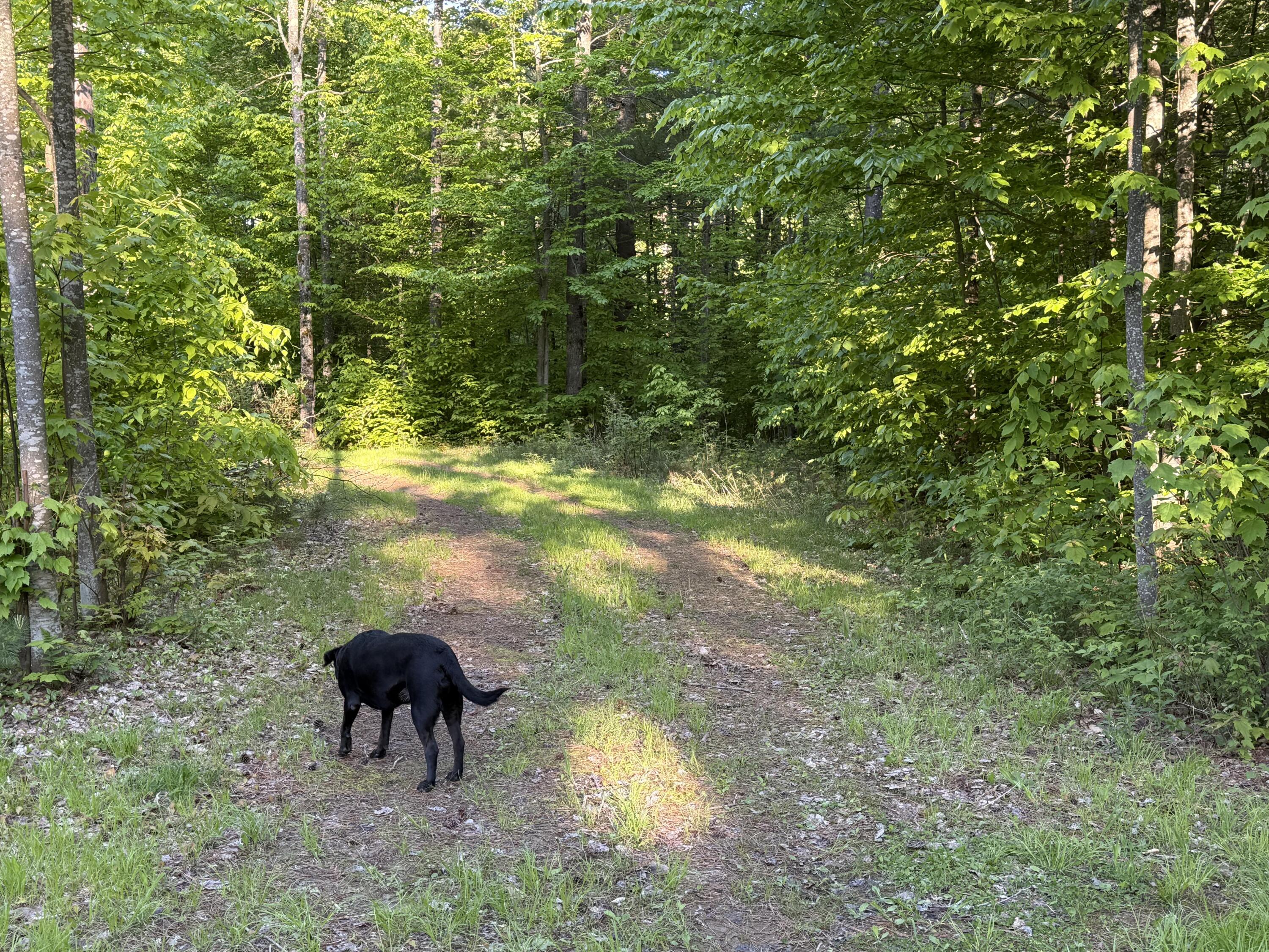 0 County Route 27 Malone NY 12953