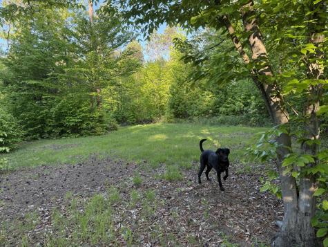 0 County Route 27 Malone NY 12953