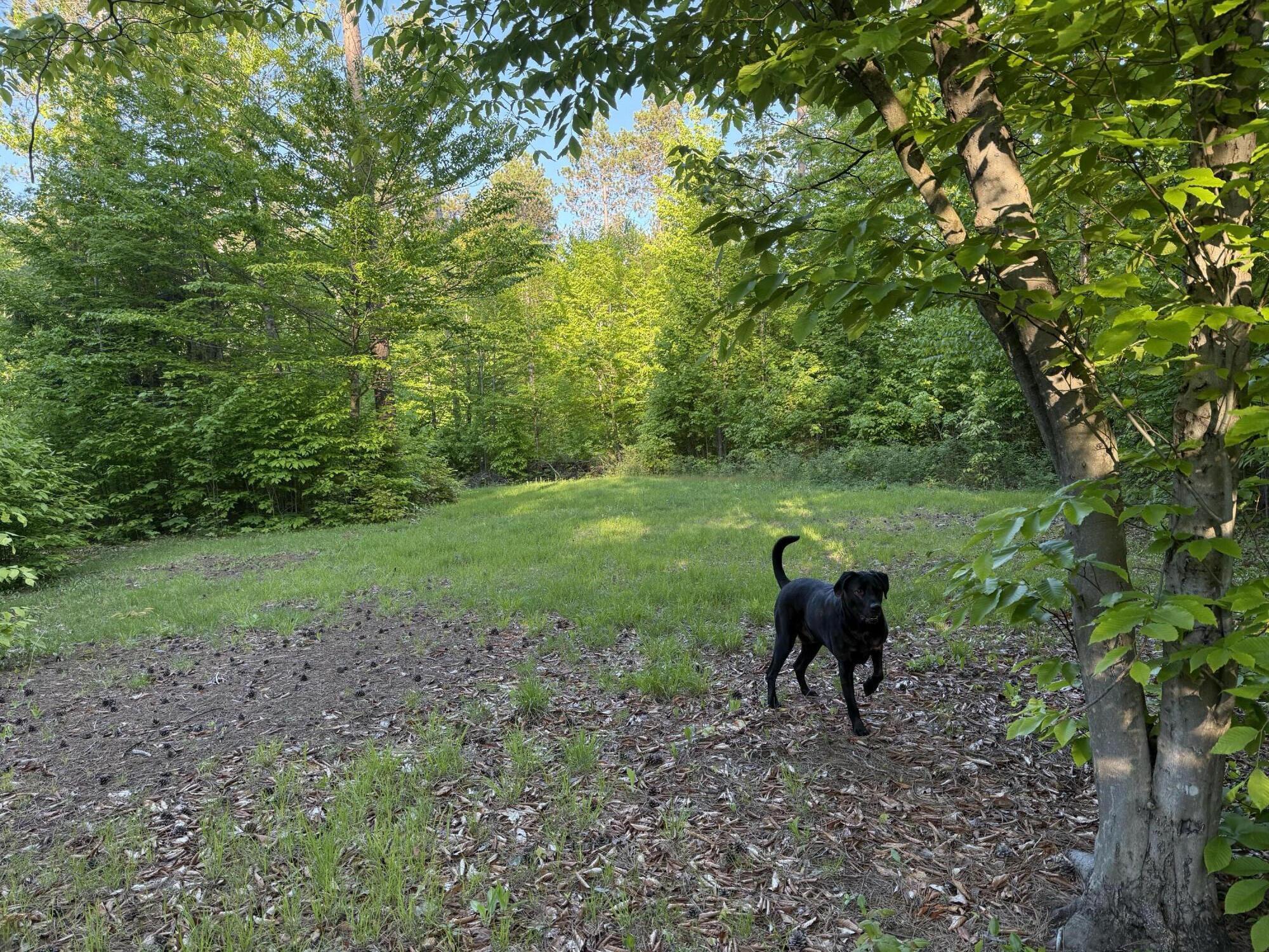 0 County Route 27 Malone NY 12953