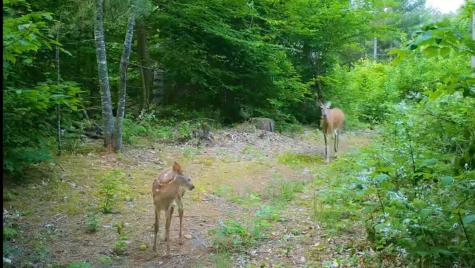 0 County Route 27 Malone NY 12953