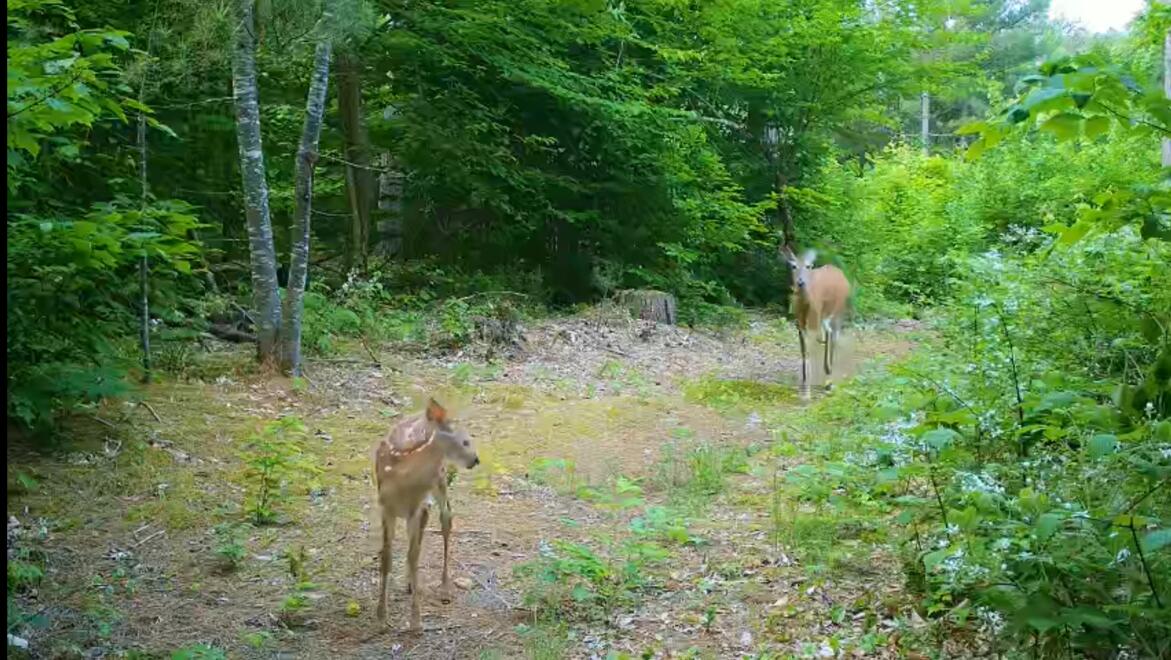 0 County Route 27 Malone NY 12953