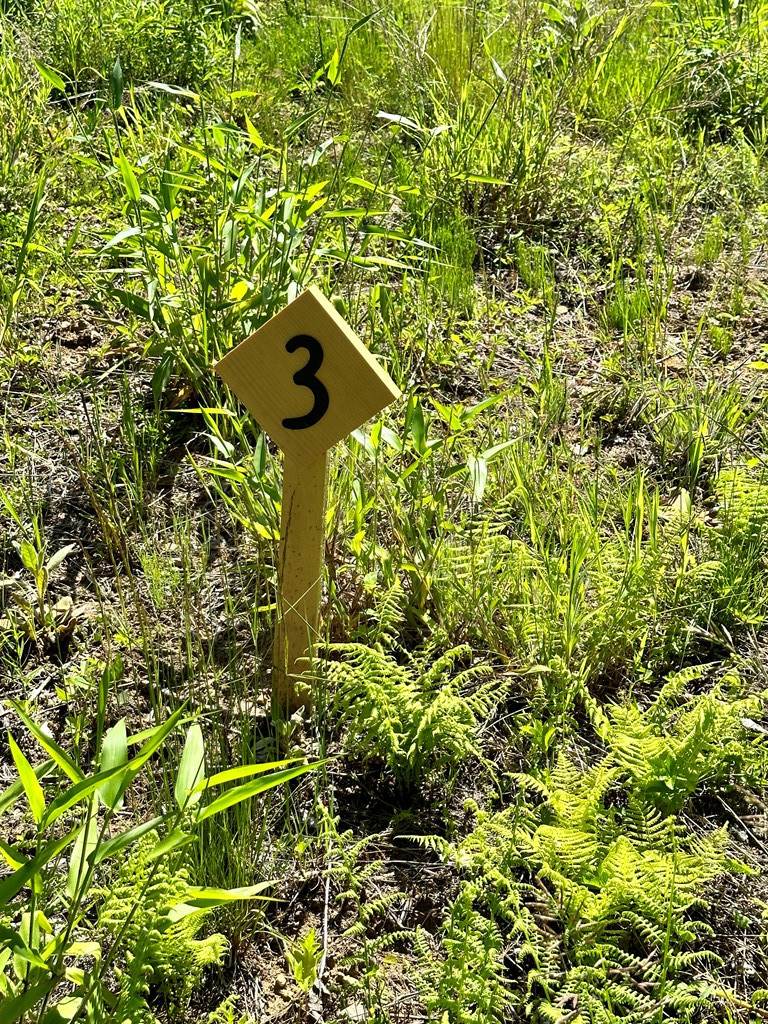 0 Crowningshield Way (Lot #3) Jay NY 12941