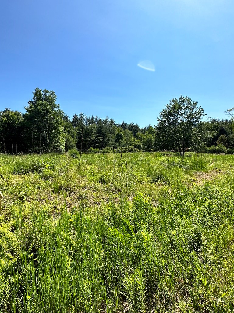 0 Crowningshield Way (Lot #3) Jay NY 12941