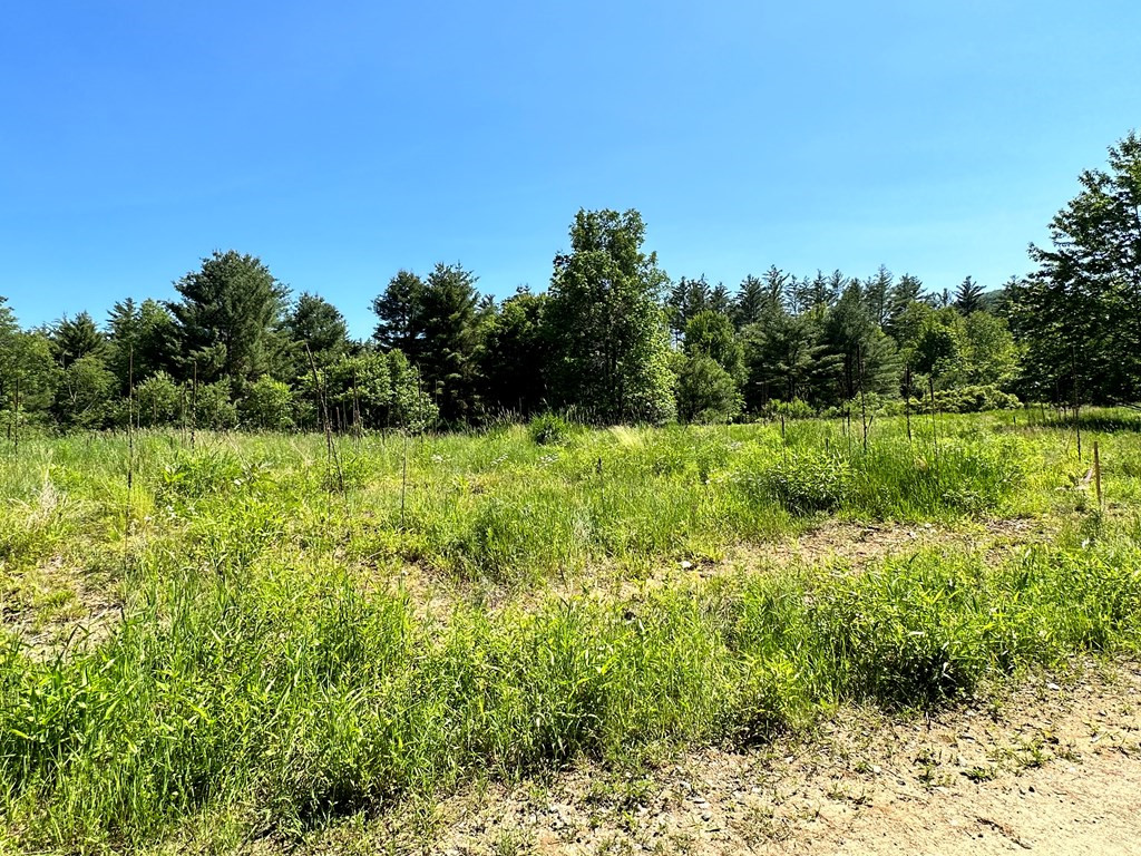 0 Crowningshield Way (Lot #3) Jay NY 12941