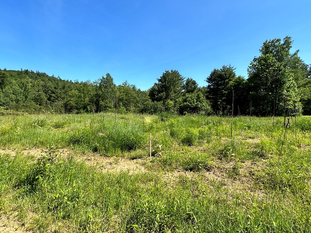 0 Crowningshield Way (Lot #3) Jay NY 12941
