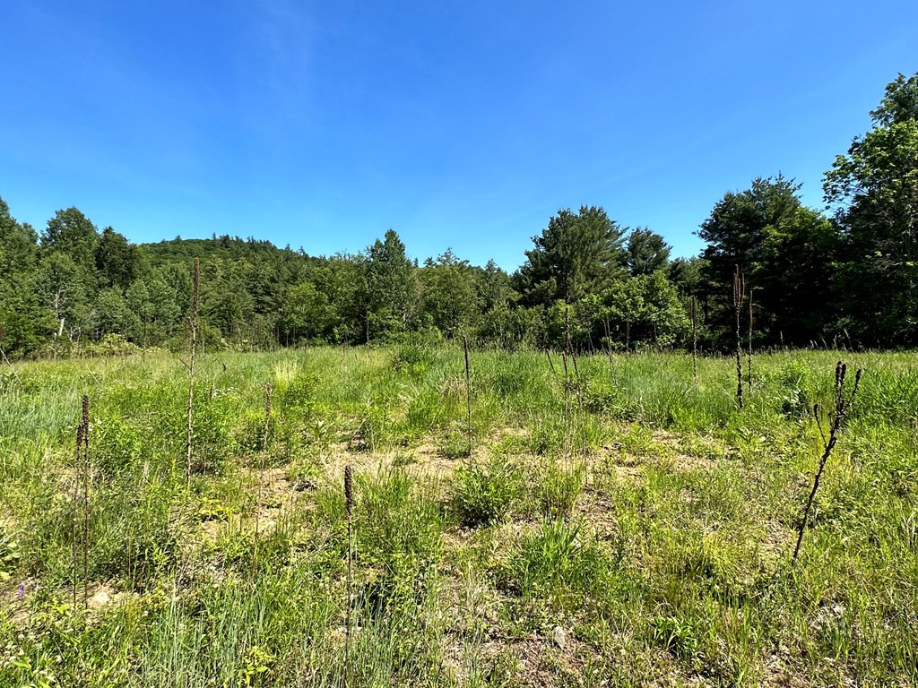 0 Crowningshield Way (Lot #3) Jay NY 12941